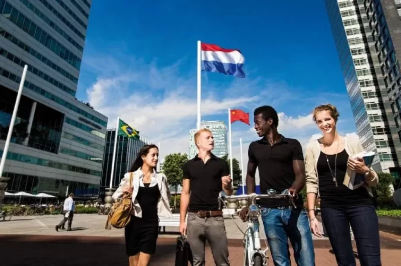 تحصیل کارشناسی در هلند